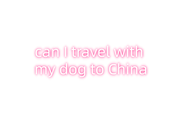 can I travel with my dog to China